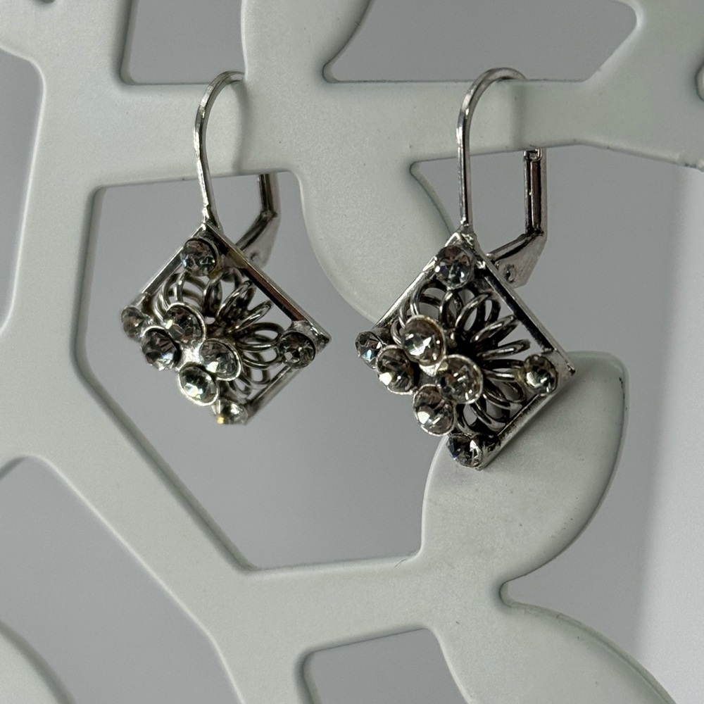 Sparkly lever back Earrings